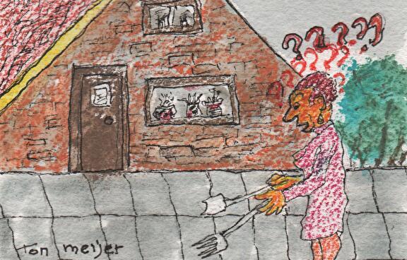 Cartoon: Geveltuintjes: Ouderen zoeken het zelf maar uit